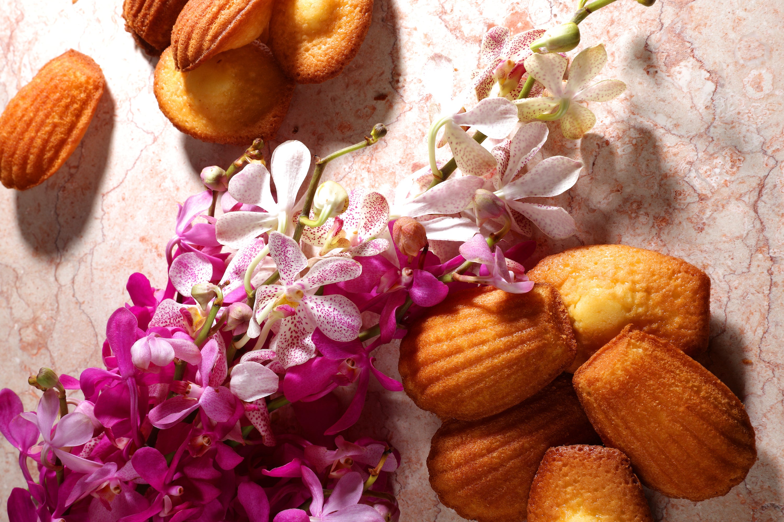 files/0X4A8201_TOP.jpg files/0X4A8201_TOP.jpg